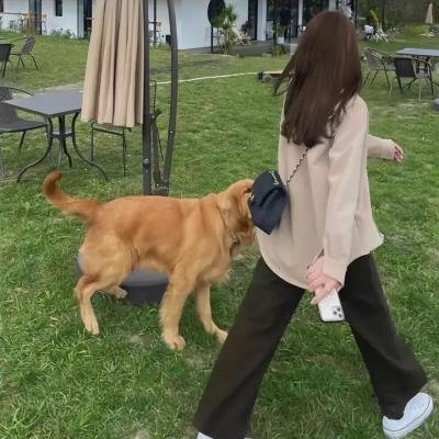 夫君大人别怕我